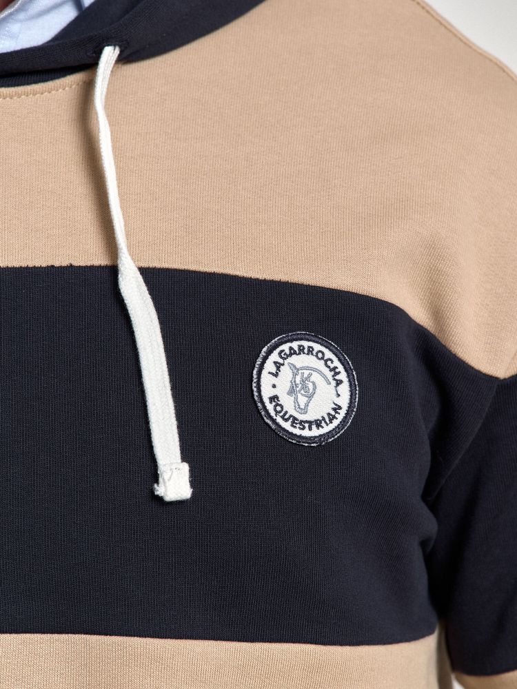 Striped Hooded Sweatshirt | Arena